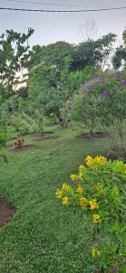 WhatsApp Image 2024-03-13 at 10.32.14 AM