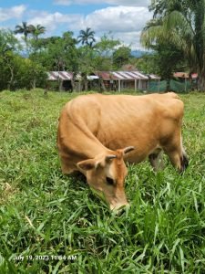 WhatsApp Image 2024-03-13 at 10.32.15 AM (1)