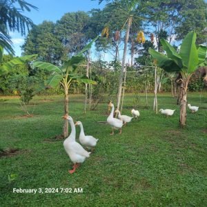 WhatsApp Image 2024-03-13 at 10.32.15 AM (3)