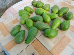 WhatsApp Image 2024-03-13 at 10.32.15 AM