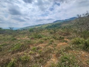 WhatsApp Image 2024-03-14 at 12.38.23 PM