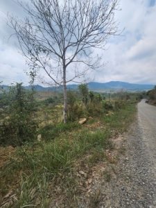 WhatsApp Image 2024-03-14 at 12.38.24 PM (1)