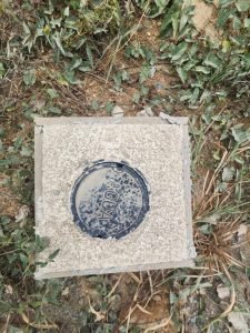 WhatsApp Image 2024-03-14 at 12.38.24 PM