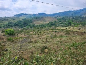 WhatsApp Image 2024-03-14 at 12.38.25 PM