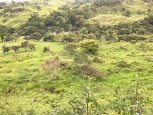 WhatsApp Image 2024-03-14 at 12.39.24 PM (2)