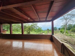 WhatsApp Image 2024-03-21 at 1.17.48 PM