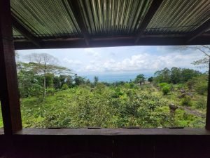 WhatsApp Image 2024-03-21 at 1.17.49 PM