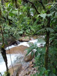 WhatsApp Image 2024-03-21 at 1.18.16 PM (2)