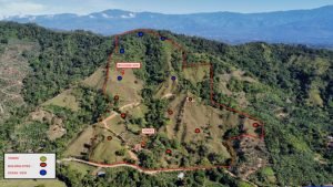 dji_fly_20230113_083214_143_1673620340604_photo_optimized