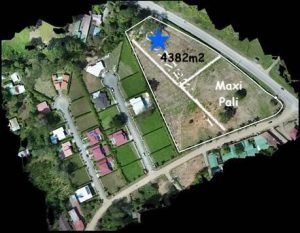 original – 2023-08-25T132544.814