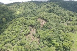 screen_19849cabd57aeb1b_1680720942327