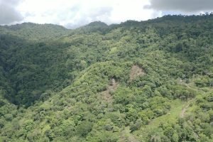 screen_1a8a845ed57735c5_1680721045759