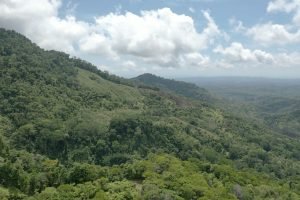 screen_27f8b39476c81c46_1680721511733