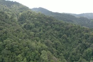 screen_5057d7cb217b64ea_1677340717657