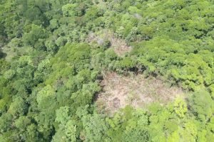 screen_72333ed607a028b6_1680721450740