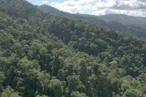 screen_82f93bbbd324286b_1677339055436