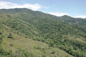 screen_8bbff89bfa43d446_1677437257306