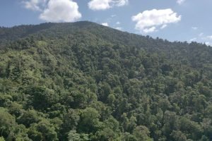 screen_974df12d8bad497b_1677338995527