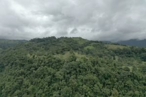 screen_a5a8710ce8803601_1693591385790