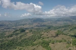 screen_c428c9d3d361bcfd_1677339501064