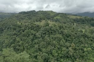 screen_c8f798e6490ee74d_1693591386981