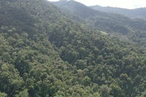 screen_cd7d8d569cd27ee3_1677339462076