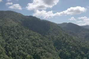 screen_d92b24379e88d0d6_1677339538300