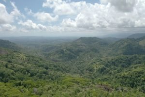 screen_df076b9b2de95c5b_1680721507724