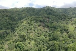 screen_e0568c7ed5fa5a8b_1680722037658