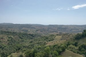 screen_e55585ecf24a110e_1677438014194