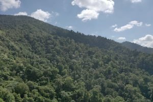 screen_e556ff06b2146999_1677339141850