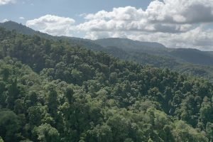 screen_f7897b9e6d89aea3_1677339240885