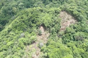 screen_f905cbf67313fd1e_1680721367936