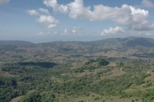 screen_ff2fcd7df251e00c_1677339497718