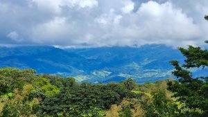 20220818_103212-Edit