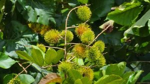 20220818_103950-Edit