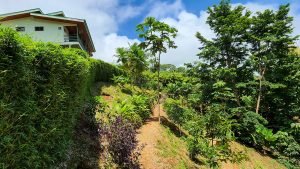 20220818_104234-Edit