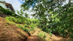 20220818_104412-Edit