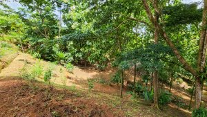 20220818_104417-Edit