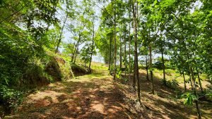 20220818_104623-Edit