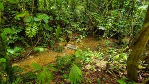 20220818_105029-Edit