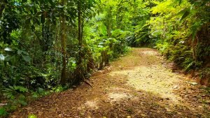 20220818_105053-Edit