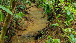 20220818_105129-Edit