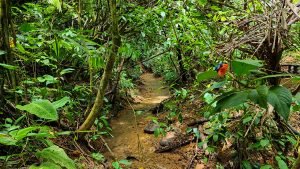 20220818_105238-Edit