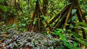 20220818_105312-Edit