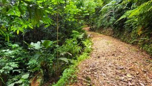 20220818_105444-Edit