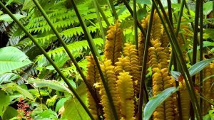 20220818_105459-Edit