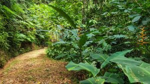 20220818_105550-Edit