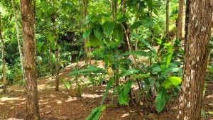 20220818_110039-Edit