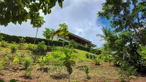 20220818_110044-Edit